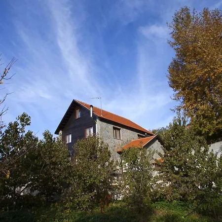 Luxury Chalet
