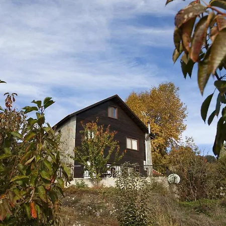 Domek alpejski Luxury Chalet *